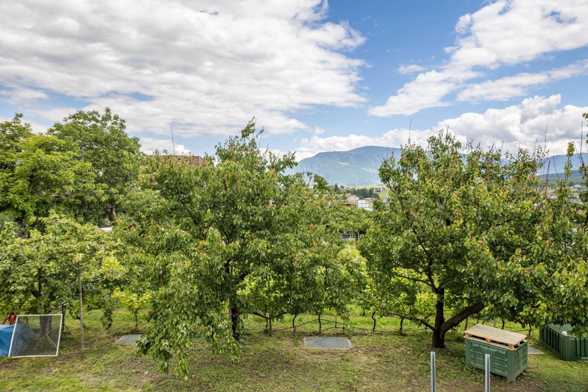 Angerblick Apartment Appiano Sulla Strada Del Vino Eksteriør bilde