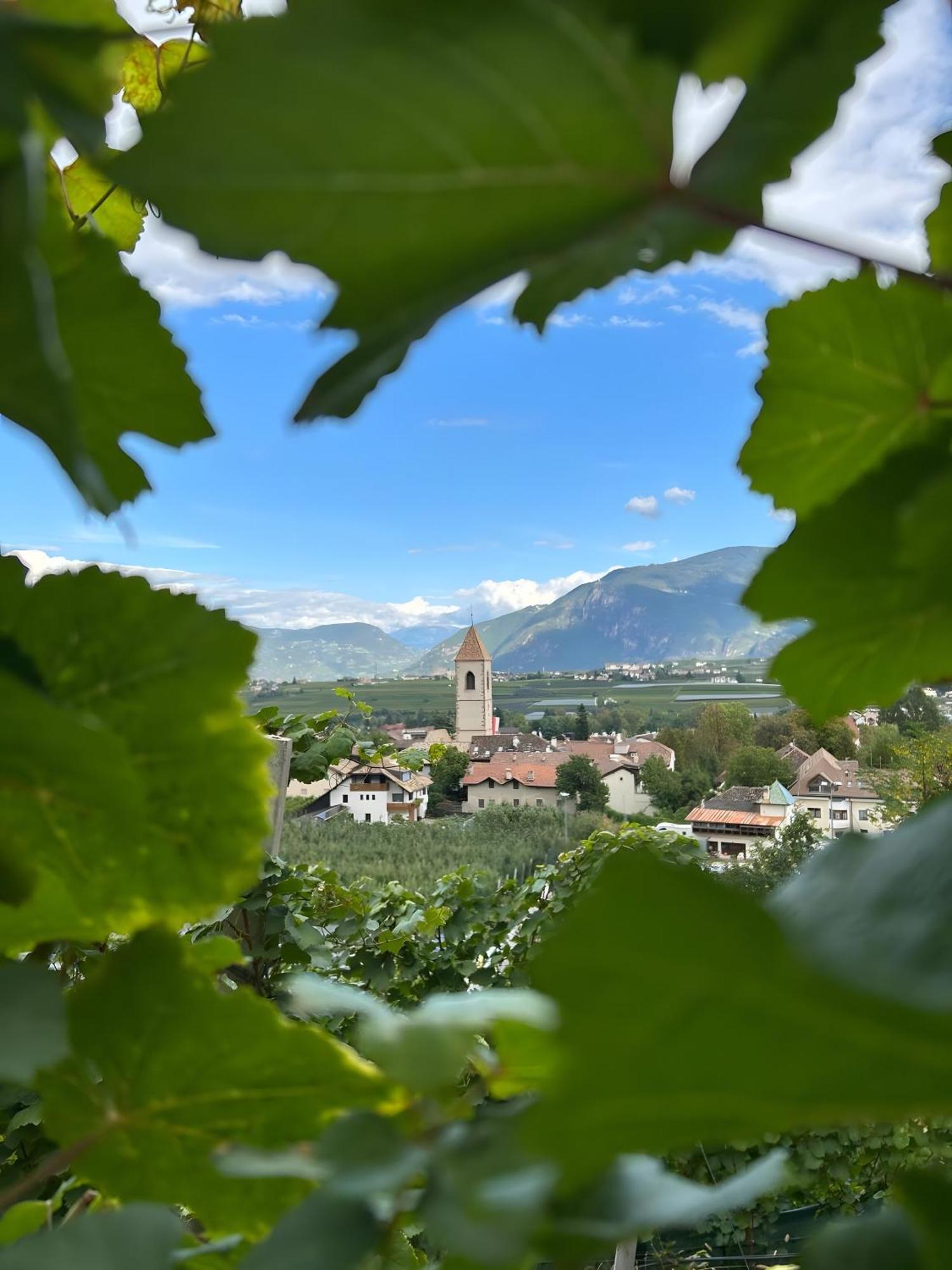 Angerblick Apartment Appiano Sulla Strada Del Vino Eksteriør bilde